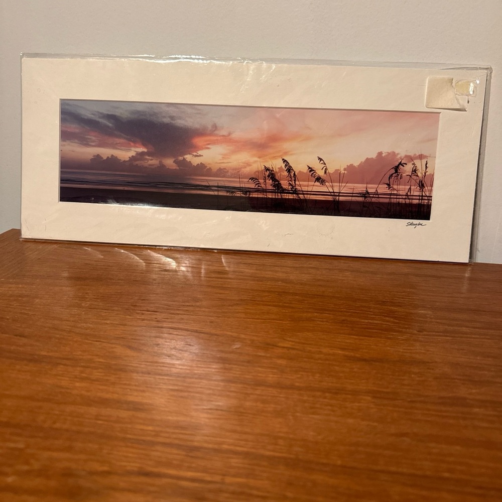 Photo Print Poster Art Landscape Florida New Ready For Framing Home Wall Decor